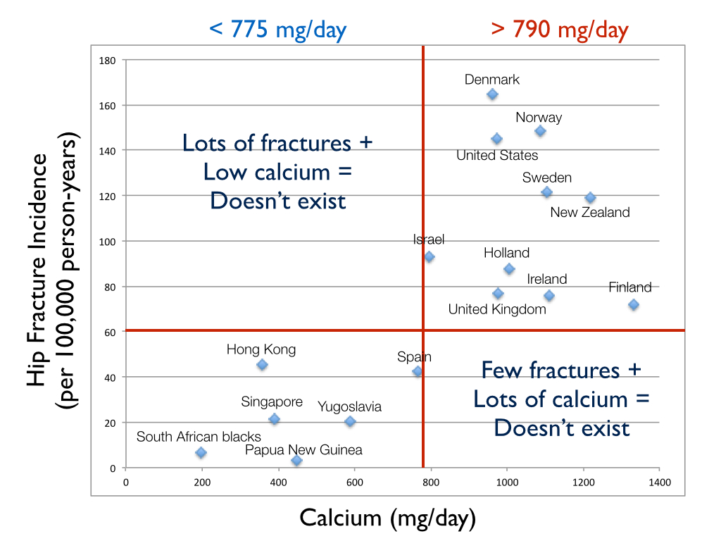 Hoe meer calcium hoe meer botbreuken