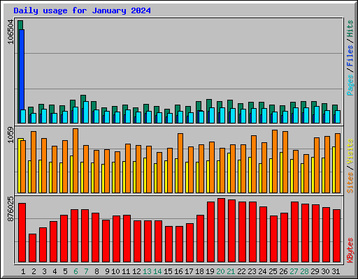Daily usage for January 2024