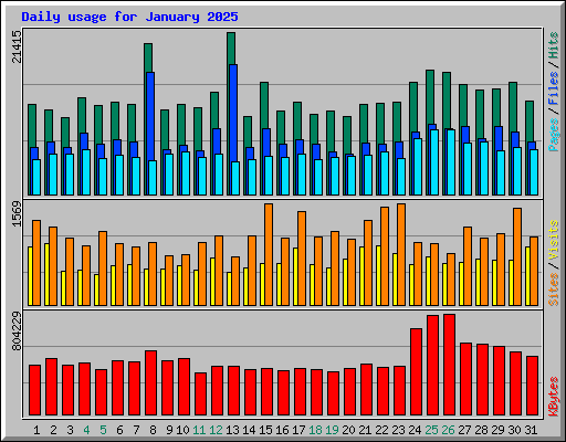 Daily usage for January 2025