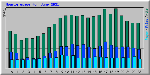 Hourly usage for June 2021
