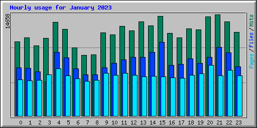 Hourly usage for January 2023