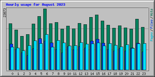 Hourly usage for August 2023