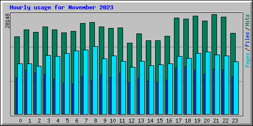 Hourly usage for November 2023