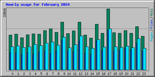 Hourly usage for February 2024