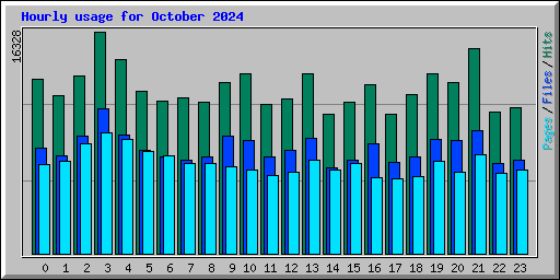 Hourly usage for October 2024