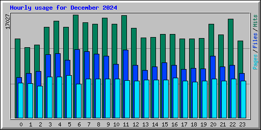 Hourly usage for December 2024