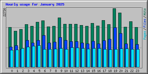 Hourly usage for January 2025