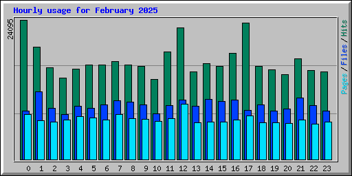 Hourly usage for February 2025