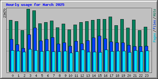 Hourly usage for March 2025