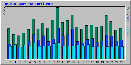 Hourly usage for April 2025