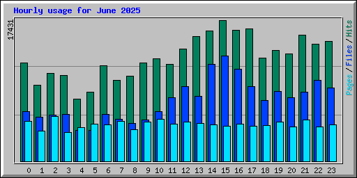 Hourly usage for June 2025