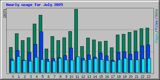 Hourly usage for July 2025