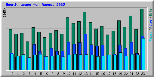 Hourly usage for August 2025