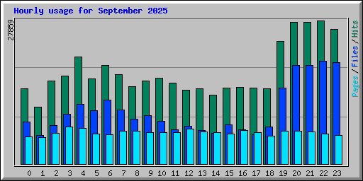 Hourly usage for September 2025