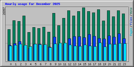 Hourly usage for December 2025