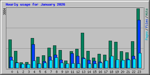 Hourly usage for January 2026