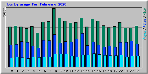 Hourly usage for February 2026
