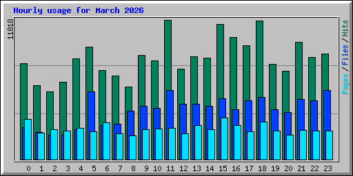 Hourly usage for March 2026