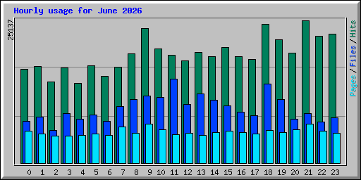 Hourly usage for June 2026