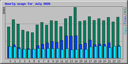 Hourly usage for July 2026