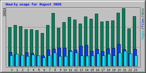 Hourly usage for August 2026